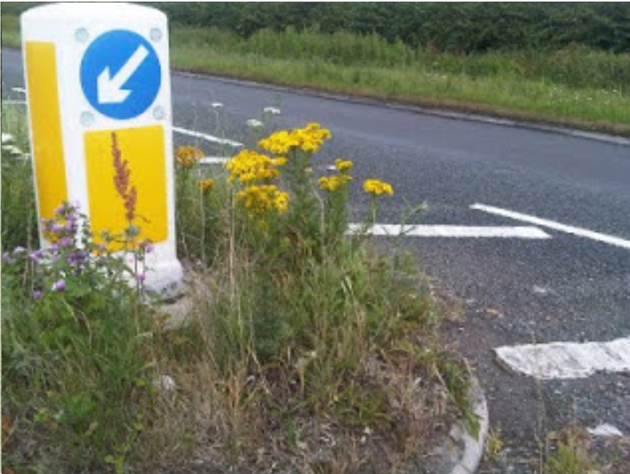 Ragworth- roadside bollard